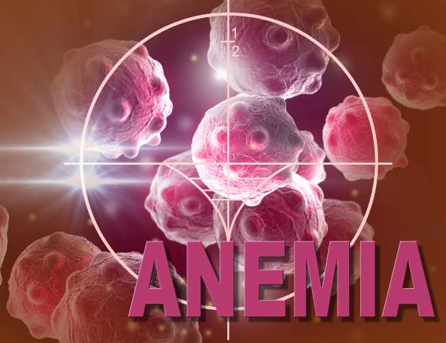 anemia-profile